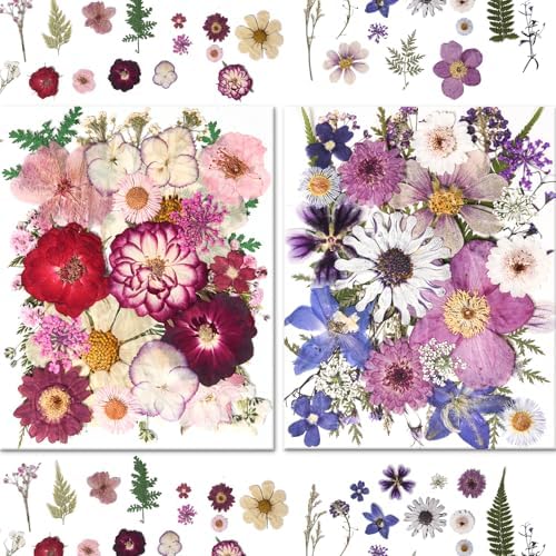 184 PCS Real Pressed Dried Flowers and Leaves for Resin - Image 2