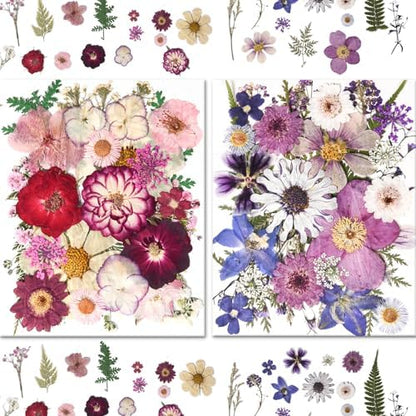 184 PCS Real Pressed Dried Flowers and Leaves for Resin - Image 2