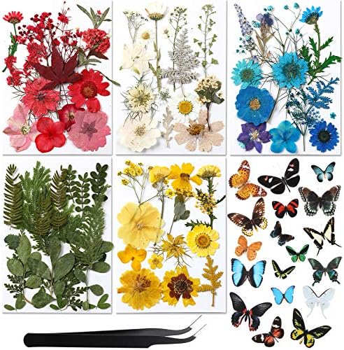 Augshy Real Dried Pressed Flower Set with Butterfly Transparent Stickers Scrapbook Decals Natural Dried Flowers Leaves with Tweezers for Resin Supplies DIY Candle Jewellery Making by Augshy