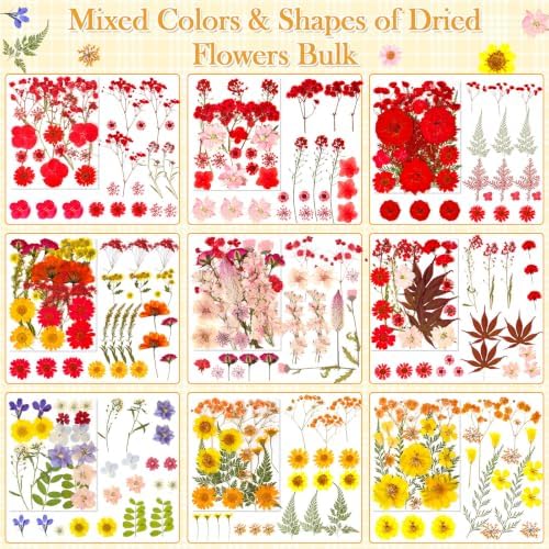 470 PCS Pressed Flowers for Crafts, Real Natural Dry Flowers with Tweezers Dried Pressed Flowers Dry Leaves Bulk for Resin, Scrapbook, Jewelry, Card, Candle & Soap Making - Image 3