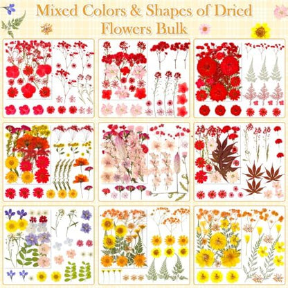 470 PCS Pressed Flowers for Crafts, Real Natural Dry Flowers with Tweezers Dried Pressed Flowers Dry Leaves Bulk for Resin, Scrapbook, Jewelry, Card, Candle & Soap Making - Image 3