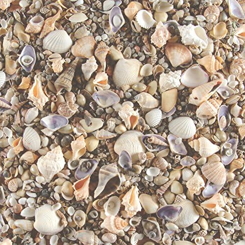 Paper Wishes – 12x12 Bulk Paper Collection | Unique and Fun Papers for Scrapbooking, Cardmaking, Gifts and All of Your DIY Crafting, Art and Creative Projects - Inspiration at Your Fingertips by PaperWishes