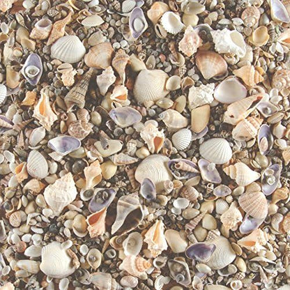 Paper Wishes – 12x12 Bulk Paper Collection | Unique and Fun Papers for Scrapbooking, Cardmaking, Gifts and All of Your DIY Crafting, Art and Creative Projects - Inspiration at Your Fingertips by PaperWishes