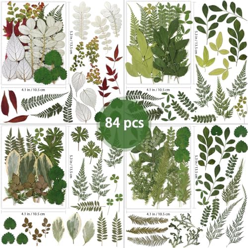 84 Pcs Dried Pressed Leaves Flowers Real Natural Dried Leaves Plant Kit Assorted Dried Greenery for Resin Art DIY Crafts Party Decorations Bookmarks Scrapbooking Candle Soap Making, 20 Types - Image 2