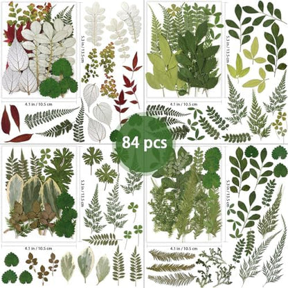 84 Pcs Dried Pressed Leaves Flowers Real Natural Dried Leaves Plant Kit Assorted Dried Greenery for Resin Art DIY Crafts Party Decorations Bookmarks Scrapbooking Candle Soap Making, 20 Types - Image 2