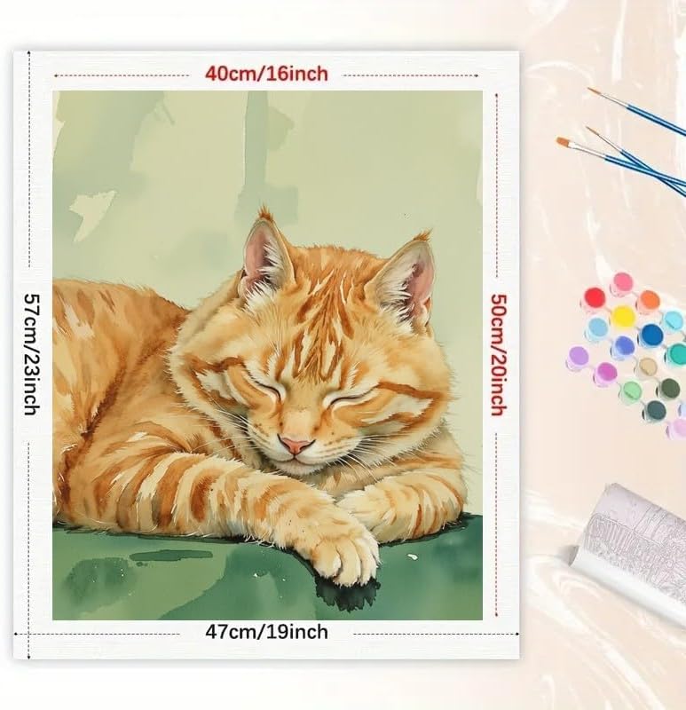 TAOPAOLAB Cat Paint by Numbers Kit for Adults - DIY Sleeping Orange Tabby Painting on Canvas 16x20In, Acrylic Paint Set, Suitable for Beginners, Animal Art for Home Decoration or Gifts - Image 2