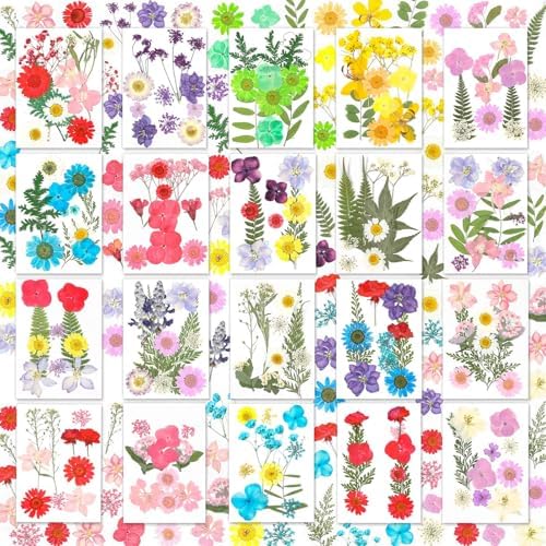 Evatage 200 Pcs Small Dried Pressed Flowers for Resin Crafts by Evatage
