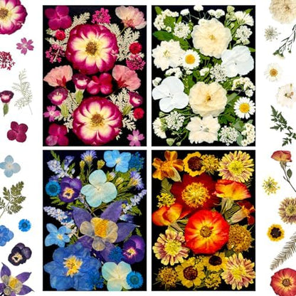 MIKIYA 92Pcs Pressed Dried Flowers for Resin, Real Assorted Natural Bulk Dry Floral Leaves for DIY Art Crafts, Epoxy Molds, Jewelry, Soap, Candle Making, Nails Decors by MIKIYA