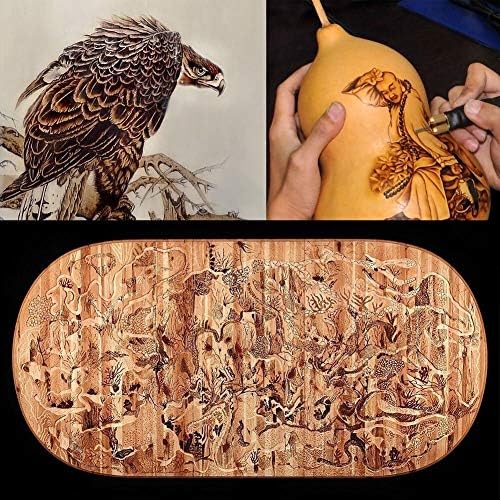 TOPCHANCES Professional Wood Burning Kit for Adults,110V 60W Wood Burning Pyrography Tool Kit with Pen and 20PCS Pyrography Tips(Single Poniter Display) - Image 5