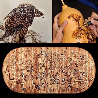 TOPCHANCES Professional Wood Burning Kit for Adults,110V 60W Wood Burning Pyrography Tool Kit with Pen and 20PCS Pyrography Tips(Single Poniter Display) - Image 5
