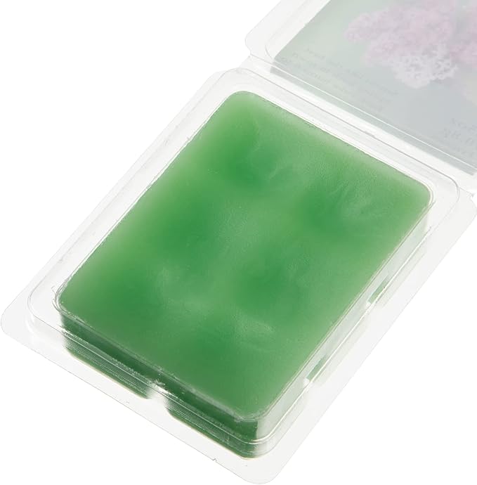 Patelai 60 Pieces Wax Melt Molds Containers 6 Cavity Clear Empty Plastic Wax Melt Clamshell Mould Empty Pet Mould Cube Tray for Candle Soap Making, 4.15 x 3 Inch