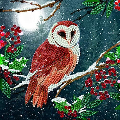 Crystal Art Diamond Painting Card Kit - Barn Owl- Create Your Own 7"x7" Card Kit - for Ages 8 and up by DIYCrystalArtKits