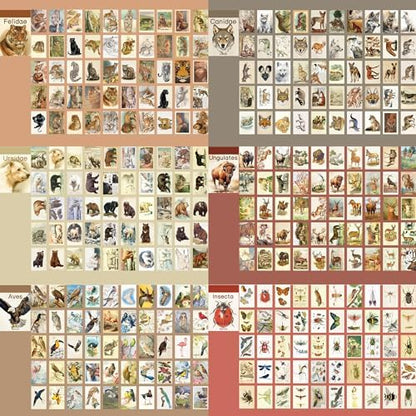 12 Sets 600 Sheets Washi Stickers Book for Journaling, Jungle Animal Sticker, Wild Zoo Sea Animal Aesthetic Scrapbook Dinosaur Sticker Set for Bullet Journal Card Craft Gift Rewards for Kid Notebook - Image 2