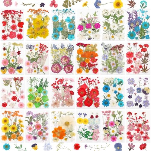 428 Pcs Dried Pressed Flowers for Resin,Real Nature Dried Flowers for Craft by NESCCI