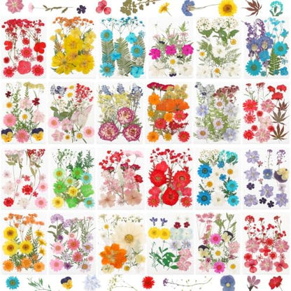428 Pcs Dried Pressed Flowers for Resin,Real Nature Dried Flowers for Craft by NESCCI
