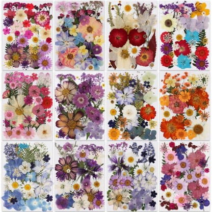 420 Pcs Dried Pressed Flowers for Resin,Bulk Natural Real Dried Flowers by NESCCI
