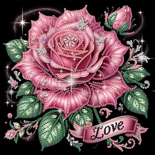 jinglinhh Pink Rose Flowers Special Shaped DIY Diamond Art Painting Kit for Adults Beginners, Partial Drill Crystal Rhinestone Gem Art Craft Home Wall Decor 30x30cm by Unknown