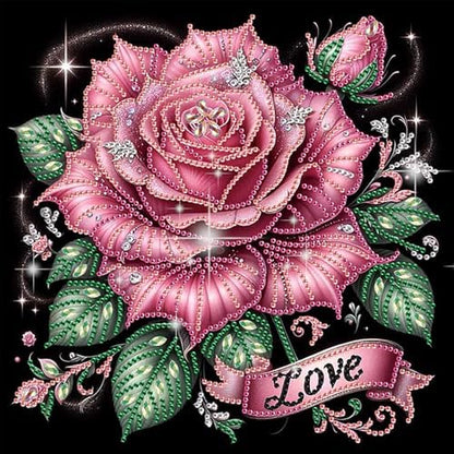 jinglinhh Pink Rose Flowers Special Shaped DIY Diamond Art Painting Kit for Adults Beginners, Partial Drill Crystal Rhinestone Gem Art Craft Home Wall Decor 30x30cm by Unknown