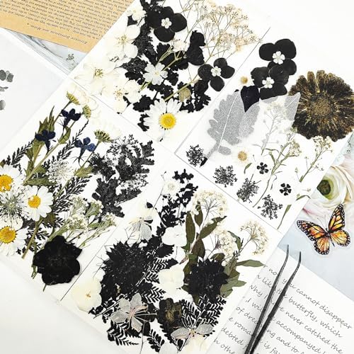 MIKIYA 84Pcs Black Dried Pressed Flowers for Resin Molds, Bulk Real Natural Dry Floral for DIY Art Crafts, Epoxy Jewelry, Candle, Soap Making, Nails Decor, Phone Case - Image 3