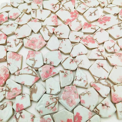 1.1 LB Porcelain Ceramic Mosaic Tiles,Broken Irregular Mosaic Tiles for DIY Craft Floor,Kitchen,Pool, Flower Pots Mosaic Making Supplies (Porcelain 10)