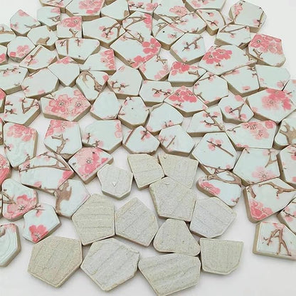 1.1 LB Porcelain Ceramic Mosaic Tiles,Broken Irregular Mosaic Tiles for DIY Craft Floor,Kitchen,Pool, Flower Pots Mosaic Making Supplies (Porcelain 10)
