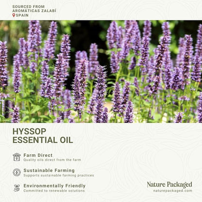 Nature Packaged Hyssop Essential Oil - Direct from Aromáticas Zalabí Spain - Steam Distilled - Aceite de Hisopo for Aromatherapy, Massage, Diffuser, DIY Candle and Soap Making - 5ml