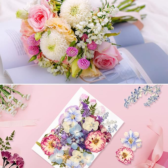 35+pcs Purple Flowers for Resin Model, Real Pressed Flowers Dry Leaves Bulk Natural Herbs Kit for Scrapbooking DIY Art Crafts, Epoxy Jewelry, Candle, Soap Making, Nails Decor