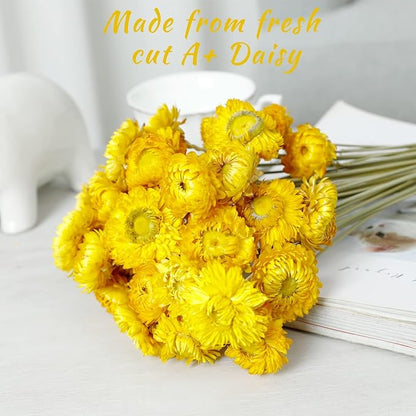 Dried Flower 40PCS Daisy Bouquet 100% Natural Chrysanthemum Dry Flower for Vase Home décor Party DIY Arrangement Wheat Straw Bulk（Yellow）