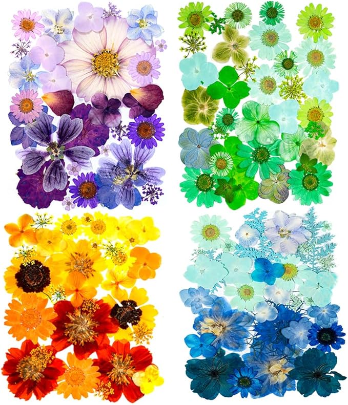 Gradient Color Dried Pressed Flowers for Resin, Real Pressed Flowers Dry Leaves Bulk Natural Herbs Kit for Scrapbooking DIY Art Crafts, Epoxy Jewelry, Candle, Soap Making, Nails Decor