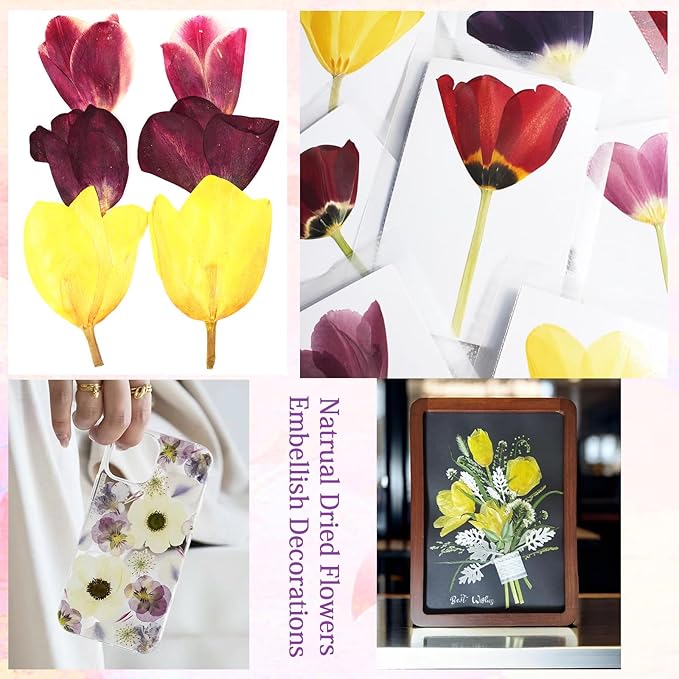 6Pcs Tulips Dried Pressed Flowers for Crafts,Xinxinran Edible Flowers for Cake Decorations,Resin Molds,Bookmark,Jewelry Molds,Candle Making Supplies,Soap,Frame(3 Types)