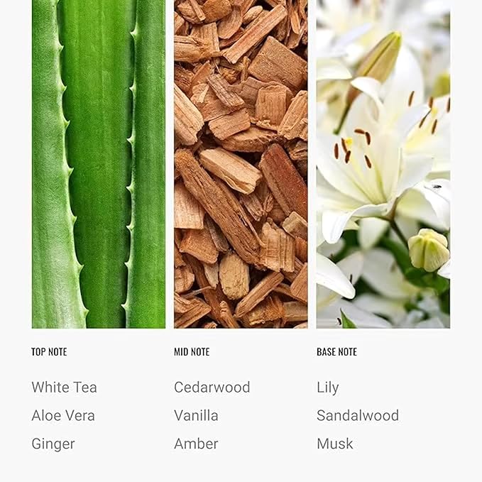 Antal Hayat Dream on Essential Oil Scent 500mL - Luxury Home Aromatherapy Diffuser Oil - Formulated with Hints of Bright White Tea, Sweet Vanilla, & Earthy Cedar - Inspired by One Hotel Miami Beach