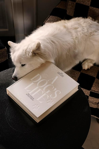 Printworks Dog Album – A Dog’s Life – Beige Cloth Memory Book with 30 Pages – Large Keepsake for 4x6 Photos with Writing Space – Expandable Pet Photo Album