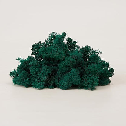 Preserved Reindeer Moss Natural Green DIY Kit Gardenning Art Wall Decor Florist Decor Easter Table Decor Wedding
