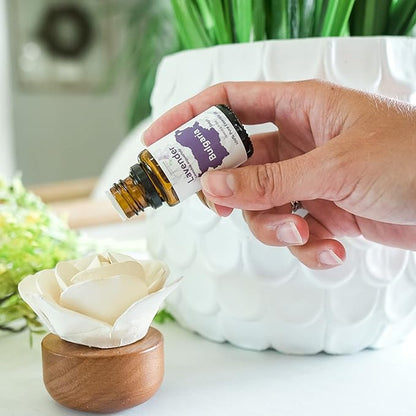 Nature Packaged Lavender Oil - Bulgarian Essential Oils - Lavender Diffuser - Pure Therapeutic Grade (22lbs)