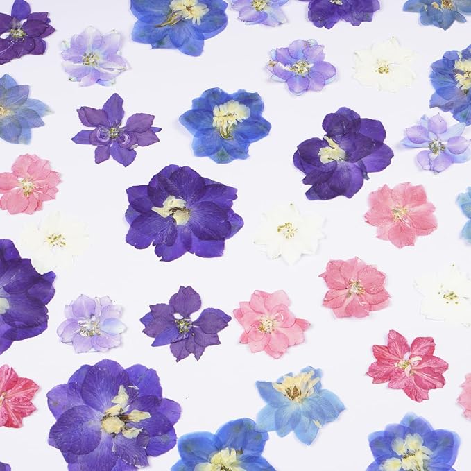 48Pcs Lankspur Dried Pressed Flowers for Crafts,Xinxinran Dry Edible Flower for Cake Decorating,Resin Molds,Bookmark,Jewelry Molds,Candle Making Supplies,Soap,Frame(8 Color)