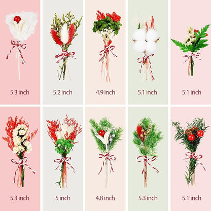 10/12/24 Pack Dried Flowers for Vase Various Mini Bouquet Dried Small Wildflowers Natural Real Flowers Bulk for Crafts DIY Wedding Decor (10, Christmas Color1)