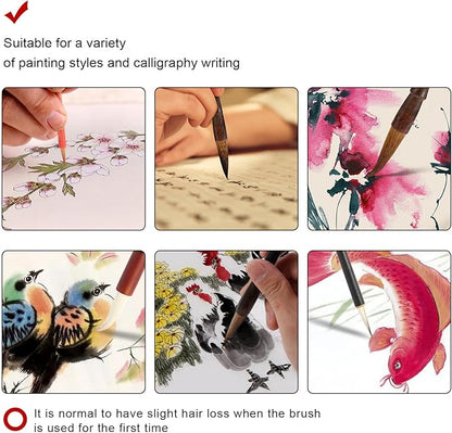 Corciosy 12 Pieces Chinese Calligraphy Brush Set - Premium Painting Writing Watercolor Sumi Brushes Set Kanji Japanese Drawing Art Brushes with Roll-up Brush Holder,Gift for Christams and New Year