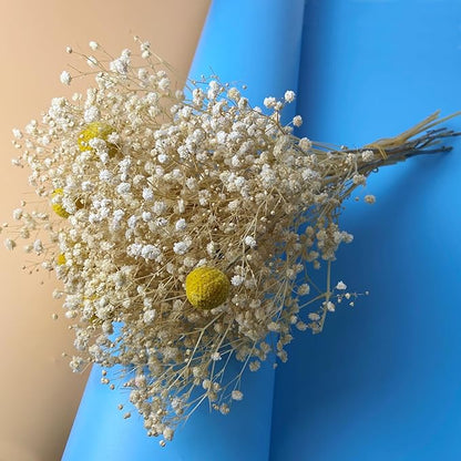L'BREVOGA Baby's Breath Bulk with Billy Button, 16 inches Preserved Baby's Breath for Floral Arrangments Home Wedding Decoration (Gypsophila White)