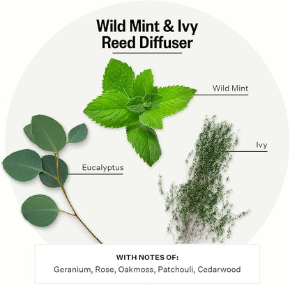 Apotheke Luxury Scented Reed Diffuser for Home, Wild Mint & Ivy - 6.7 Fl Oz Essential Oil Aromatherapy - 10 Rattan Scent Sticks Room Diffuser - Long-Lasting Fragrance for Bedroom, Home, Bathroom