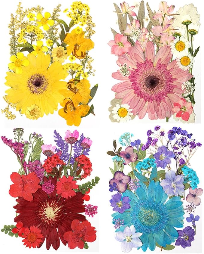 Dried Pressed Flowers for Resin Model, Real Pressed Barberton Daisy Bulk Natural Herbs Kit for Scrapbooking DIY Art Crafts, Epoxy Jewelry, Candle, Soap Making, Nails Decor