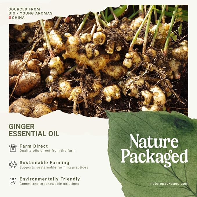 Nature Packaged Ginger Essential Oil - Direct from Bio-Young Aromas - Pure Ginger Oil for Skin - Aceite de Jengibre - Aromatherapy 100% Therapeutic Premium Grade (2lbs)
