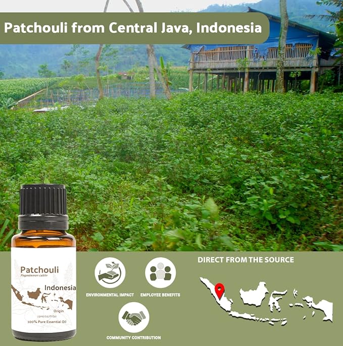 Nature Packaged Dark Patchouli Essential Oil - Direct from Java Indonesia Natural Repellent Aceite de Pachulí - Aromatherapy and Premium Therapeutic Grade - Ideal for Body & Candle-Making (8oz)