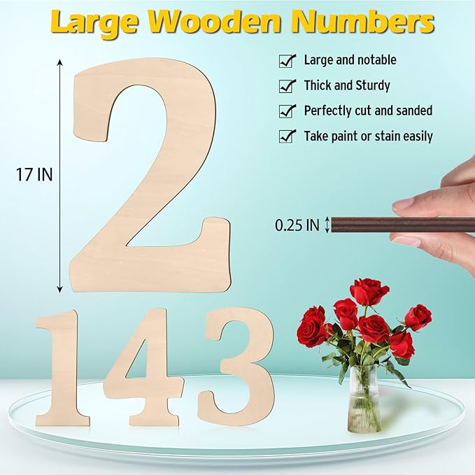 17 inch Large Wooden Numbers for Party Decor, Big Wood Number 2 for Wall Decor, Unfinished Blank Giant Wooden House Numbers, Wood Signs for Crafts, Birthday, Rustic Wedding, Christmas, Baby Shower
