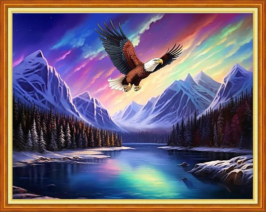 Dimensean Stamped Cross Stitch Kits Full Range of Embroidery Patterns Starter Kits for Beginners Adult DIY Cross Stitches Needlepoint Kits 11CT-Aurora Lake Scenery 16x20 inch