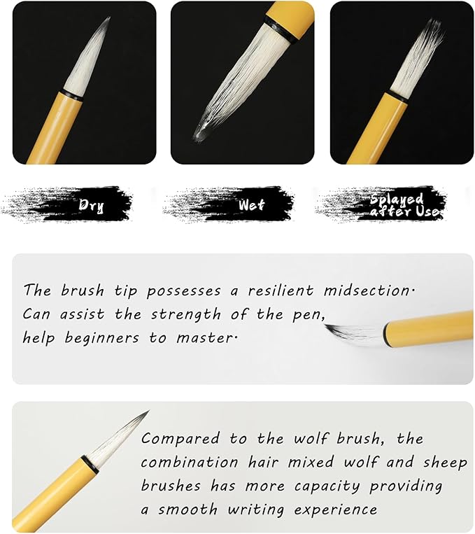 Corciosy 13PCS Chinese Calligraphy Brush Set, Writing Brush with Bamboo Storage Scoll, Japanese or Chinese Kanji Sumi-E Drawing Watercolor Brush