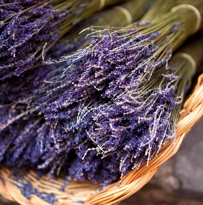 Nature Packaged Lavender Oil - Bulgarian Essential Oils - Lavender Diffuser - Pure Therapeutic Grade (15ml)