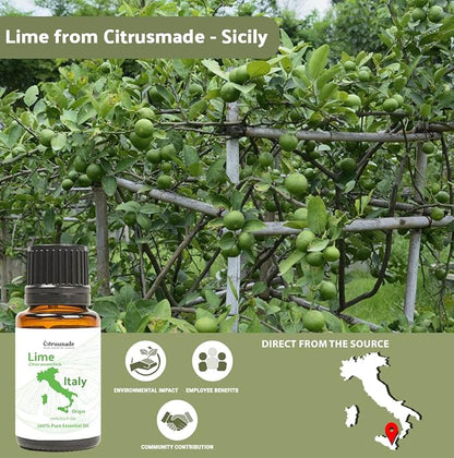 Nature Packaged Lime Essential Oil - Direct from Citrusmade in Sicily- Pure Essential Oils for Diffusers and Aromatherapy in The Mediterranean - 100% Pure Therapeutic Grade (22lbs)