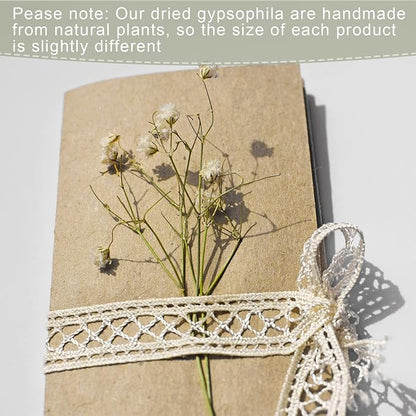 Fumete 200 Pcs Christmas Mini Dried Baby Breath Flowers Wedding Ivory Natural Flowers Bulk Dried Gypsophila for Vase Bride Shower Invitation Card DIY Candle Making Decor Craft Party Resin Art, 2-4 in