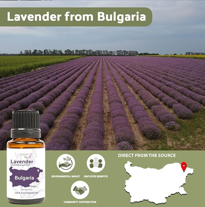 Nature Packaged Lavender Oil - Bulgarian Essential Oils - Lavender Diffuser - Pure Therapeutic Grade (15ml)