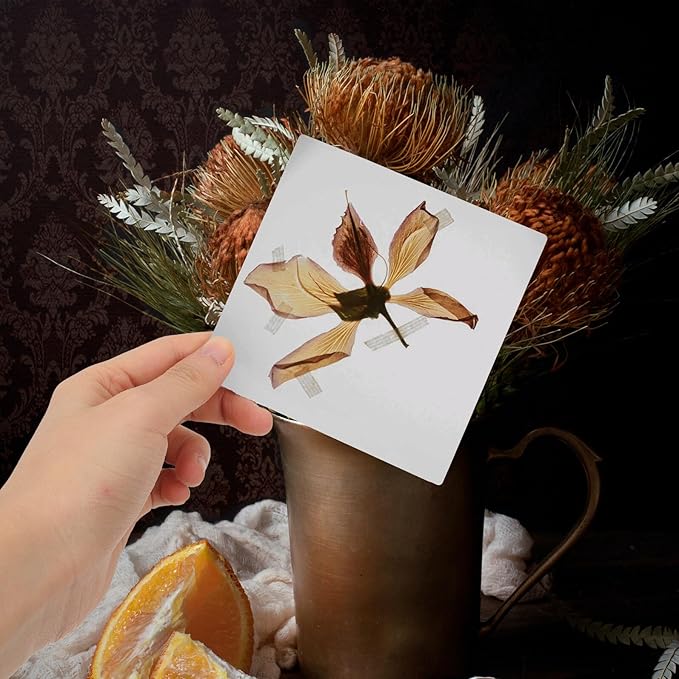 VANZACK 4Pcs Absorbent Flower Press Boards Reusable Drying Paperboard for Household Plant Specimen Making and Dried Flower Crafting Suitable for Adults